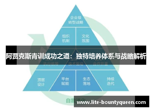 阿贾克斯青训成功之道：独特培养体系与战略解析