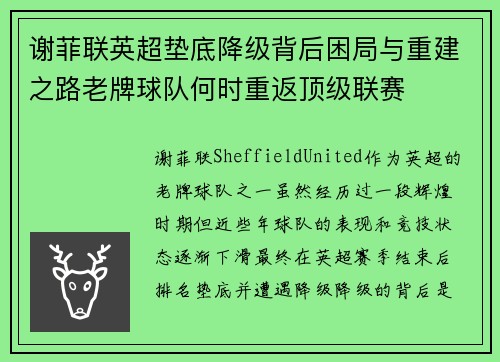谢菲联英超垫底降级背后困局与重建之路老牌球队何时重返顶级联赛